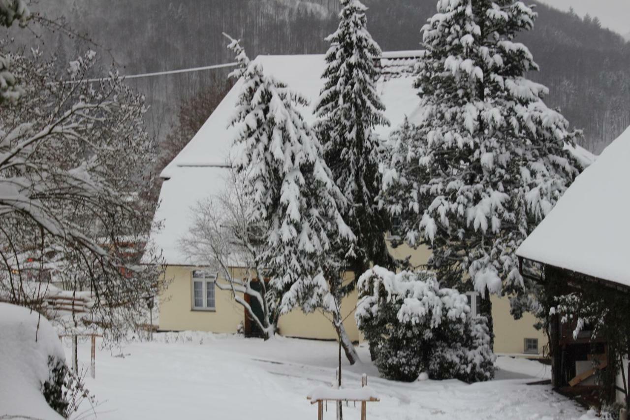 Ferienwohnung In Herrlicher Lage Bad Urach Exterior photo